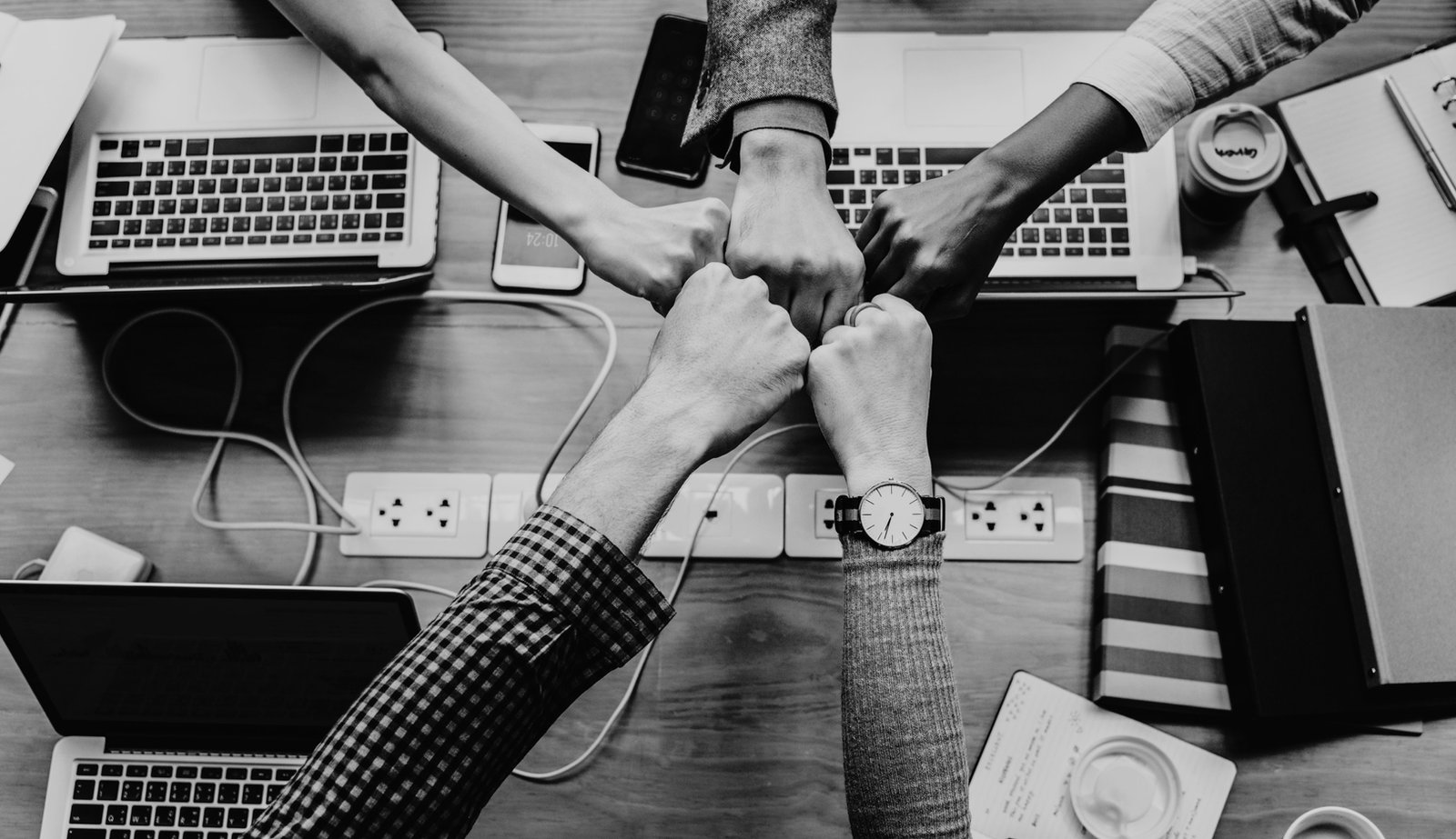 Meet the team