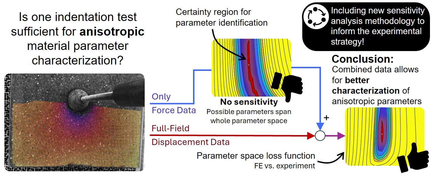 New publication on anisotropic soft tissue material parameter characterization